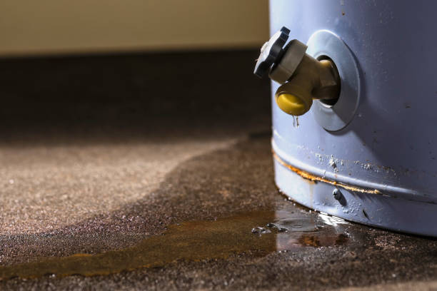 Best Carpet water damage restoration  in Richlands, NC