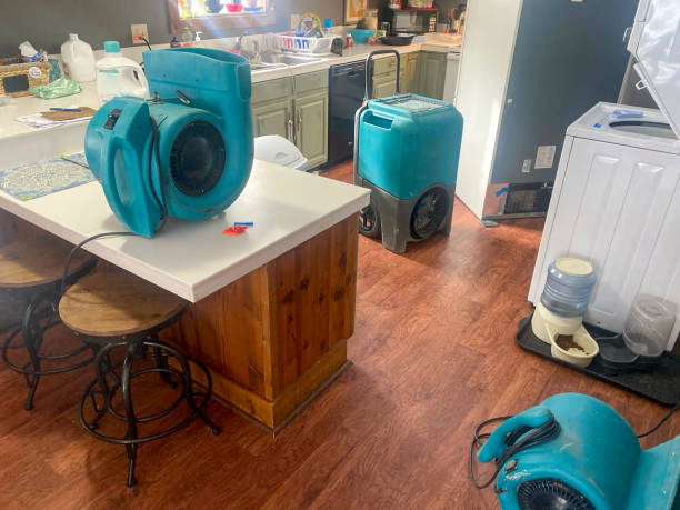 Best Flooded house restoration  in Richlands, NC