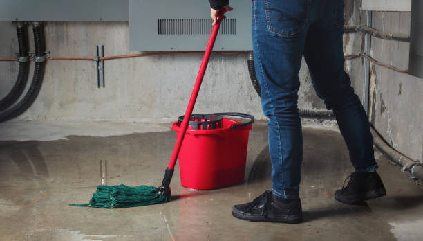 Best Carpet water damage restoration  in Richlands, NC