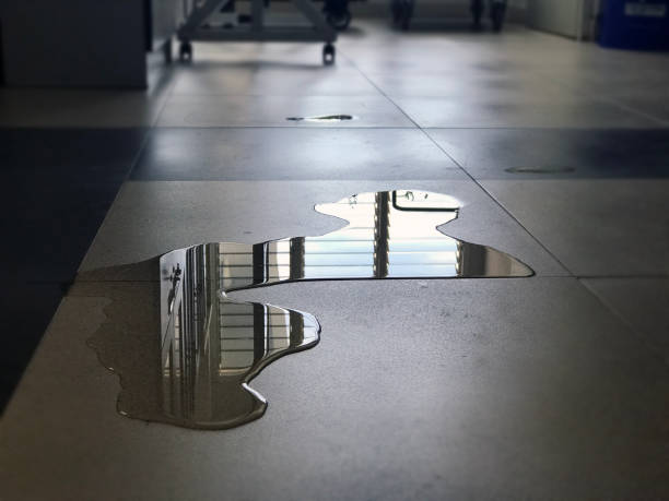 Best 24/7 water damage repair  in Richlands, NC