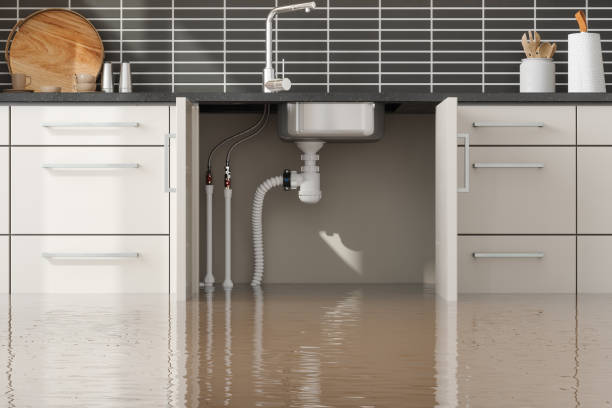 Best Water damage restoration company  in Richlands, NC