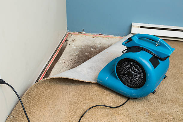  Richlands, NC Water damage restoration Pros